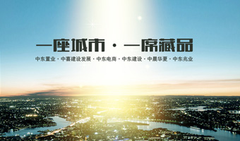 中東集團網站建設項目